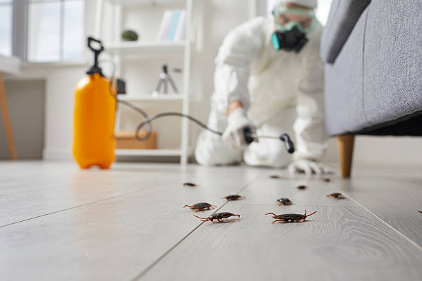 Post-Treatment Bed Bug Interceptor Monitoring in Hemlock Farms